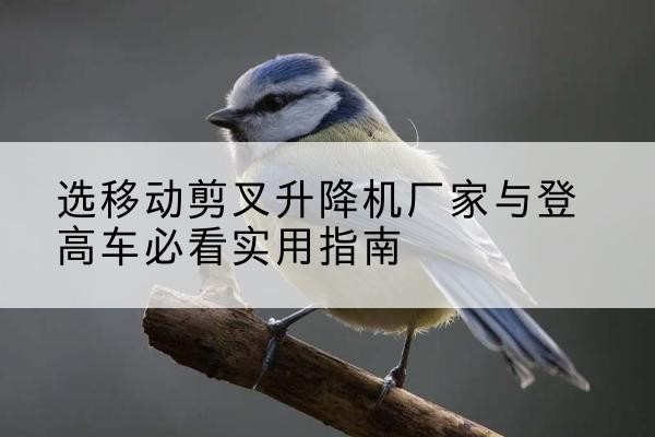 汕尾电动升降机厂家-选移动剪叉升降机厂家与登高车必看实用指南