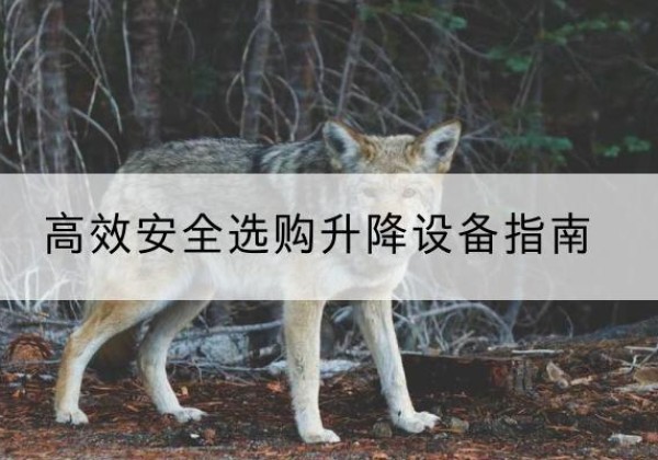 汕尾升降货梯厂家推荐-*安全选购升降设备指南